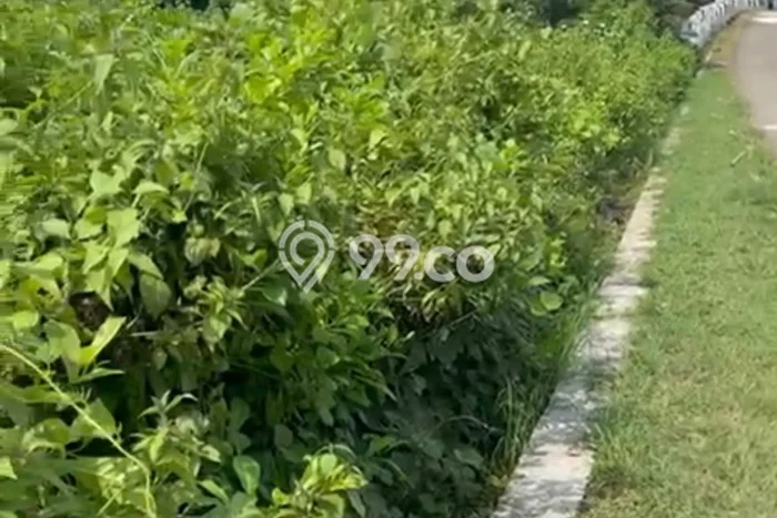 Tanah Siap Bangun Dijual di Purwakarta Punya Luas 13000m2 Tanah Siap Bangun Dijual di Purwakarta Punya Luas 13000m2