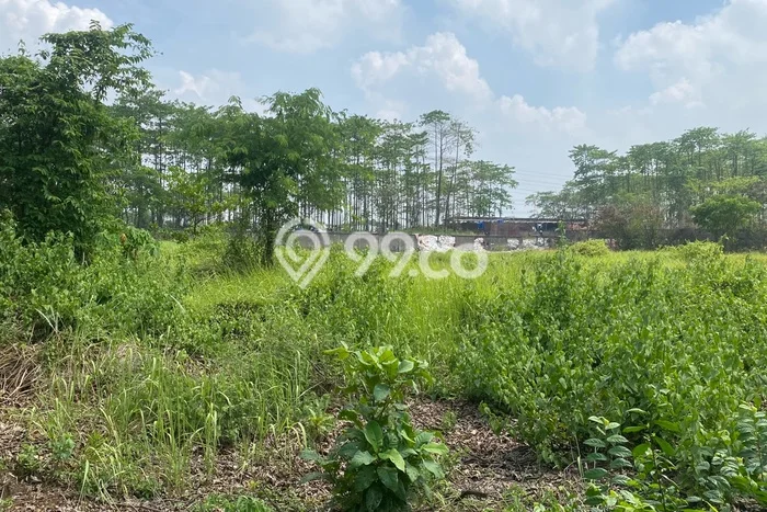 Lahan Sewa di Karawaci Tangerang dengan Luas 9000m2 Lahan Sewa di Karawaci Tangerang dengan Luas 9000m2