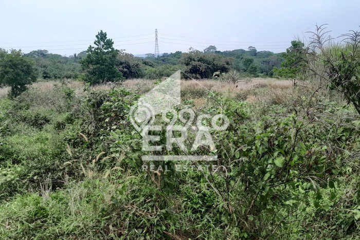 Tanah untuk Dijual Lokasi Campaka, Purwakarta Luas 25500m2 SHM Tanah untuk Dijual Lokasi Campaka, Purwakarta Luas 25500m2 SHM