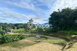 Tanah untuk Dijual di Megamendung Bogor Luas 1000m2 Tanah untuk Dijual di Megamendung Bogor Luas 1000m2