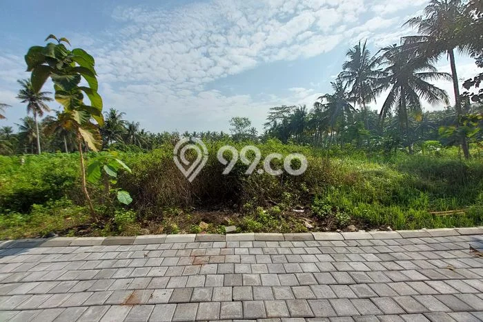 Tanah Dijual Lokasi Wates, Kulon Progo dengan Luas Tanah 120m2 dan Status SHM Tanah Dijual Lokasi Wates, Kulon Progo dengan Luas Tanah 120m2 dan Status SHM