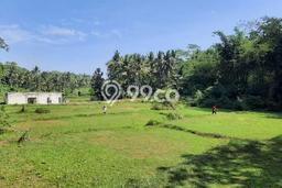 Lahan untuk Dijual Lokasi Wates, Kulon Progo Luas 126m2 SHM Lahan untuk Dijual Lokasi Wates, Kulon Progo Luas 126m2 SHM