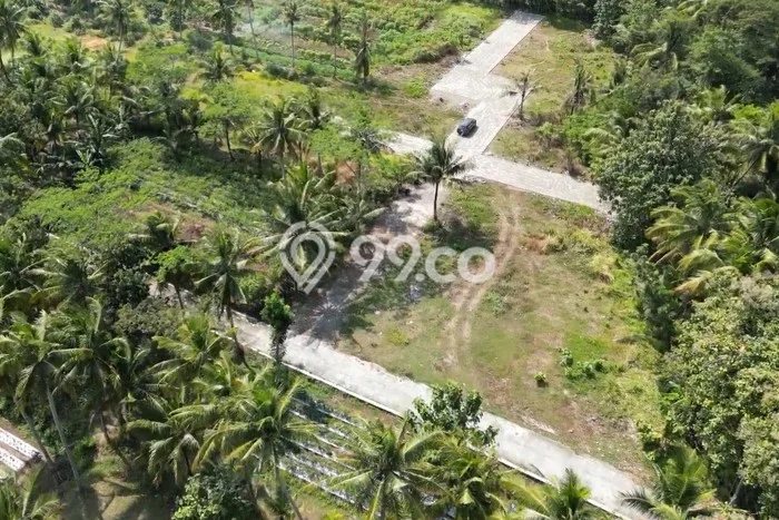 Tanah Dijual Lokasi Wates, Kulon Progo dengan Luas Tanah 120m2 dan Status SHM Tanah Dijual Lokasi Wates, Kulon Progo dengan Luas Tanah 120m2 dan Status SHM