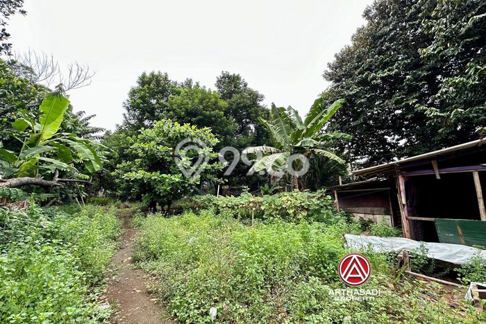 Tanah Dijual Lokasi Cipayung, Jakarta Timur Luas 1649m2 Legalitas Aman Tanah Dijual Lokasi Cipayung, Jakarta Timur Luas 1649m2 Legalitas Aman