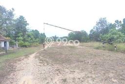 Kavling Tanah Dijual di Pangkalan Kerinci Pelalawan Spesifikasi 30211m2 Kavling Tanah Dijual di Pangkalan Kerinci Pelalawan Spesifikasi 30211m2