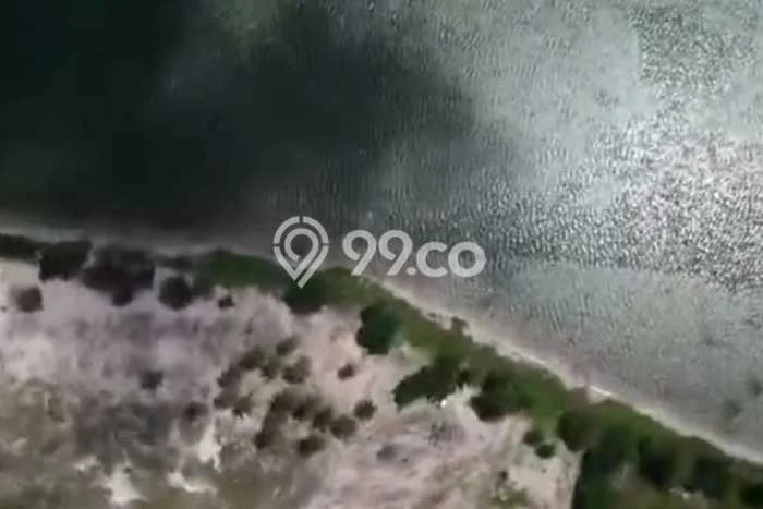 Lahan Strategis di Bintan Utara Dijual dengan Luas 50000m2 Lahan Strategis di Bintan Utara Dijual dengan Luas 50000m2