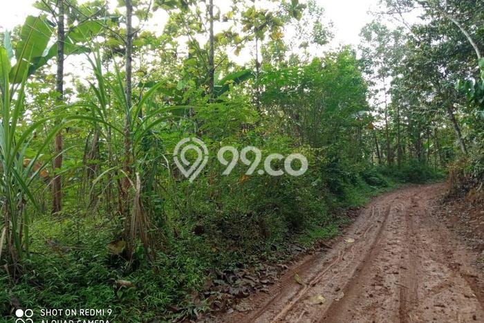Tanah Strategis Dijual di Curugbitung Lebak 12350m2 Tanah Strategis Dijual di Curugbitung Lebak 12350m2