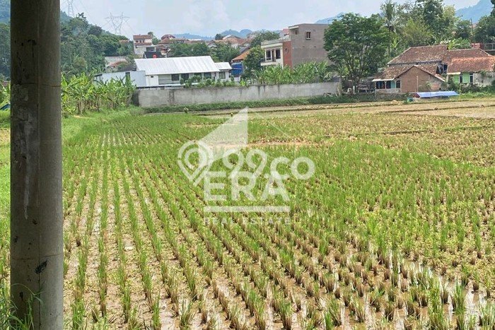 Kavling Tanah di Soreang Dijual Luas 2900m2 Legalitas SHM Kavling Tanah di Soreang Dijual Luas 2900m2 Legalitas SHM