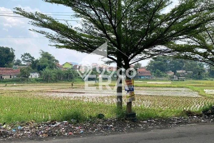 Kavling Tanah di Soreang Dijual Luas 2900m2 Legalitas SHM Kavling Tanah di Soreang Dijual Luas 2900m2 Legalitas SHM