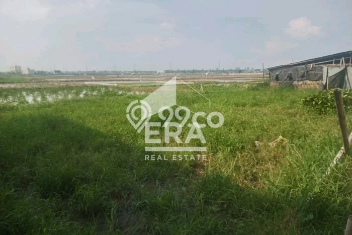 Tanah di Cilincing, Jakarta Utara Luas 15760m2 Dijual Segera Tanah di Cilincing, Jakarta Utara Luas 15760m2 Dijual Segera