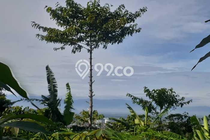 Tanah untuk Dijual di Ngamprah Bandung Barat Luas 2450m2 Tanah untuk Dijual di Ngamprah Bandung Barat Luas 2450m2