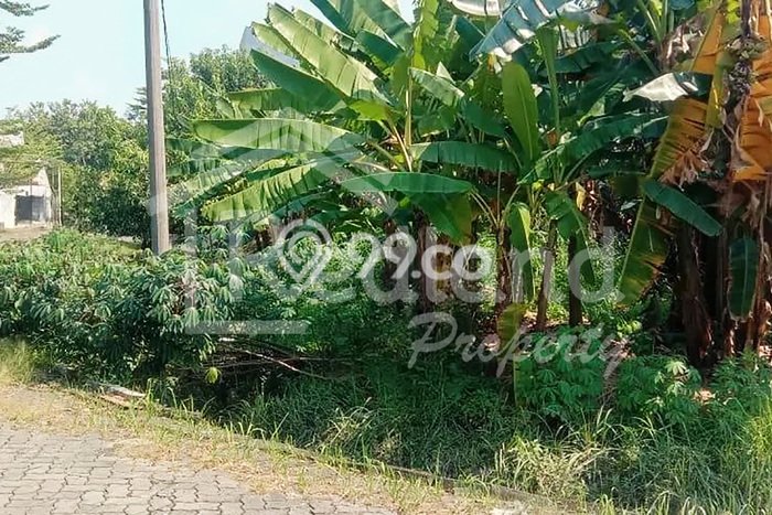 Kavling Tanah untuk Dijual di Puri Anjasmoro, Semarang, Luas 670m2 Kavling Tanah untuk Dijual di Puri Anjasmoro, Semarang, Luas 670m2