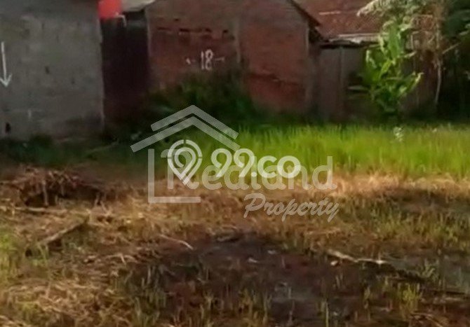 Tanah Kosong Dijual di Semarang dengan Area 260m2 Tanah Kosong Dijual di Semarang dengan Area 260m2