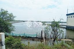 Dijual Tanah 8852m2 di Kendal, Kendal Dijual Tanah 8852m2 di Kendal, Kendal