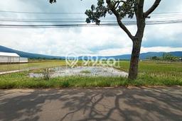 Tanah Kavling di Ambarawa Dijual dengan Luas 1854m2 Tanah Kavling di Ambarawa Dijual dengan Luas 1854m2