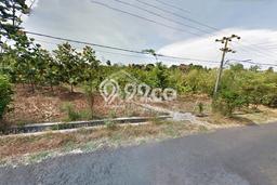Jarang Ada! Tanah di Prigen Punya Luas 3375m2 SHM Jarang Ada! Tanah di Prigen Punya Luas 3375m2 SHM