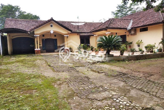 Rumah Strategis Modern Lb 602m2 di Boja, Kendal Rumah Strategis Modern Lb 602m2 di Boja, Kendal