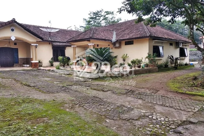 Rumah Strategis Modern Lb 602m2 di Boja, Kendal Rumah Strategis Modern Lb 602m2 di Boja, Kendal