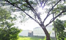 Lahan Investasi Lokasi Kudus Kabupaten Kudus SHM Lahan Investasi Lokasi Kudus Kabupaten Kudus SHM