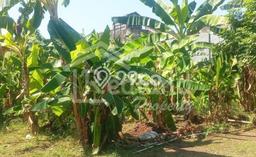 Lahan untuk Dijual di Gajah Mungkur Semarang Luas 1552m2 Lahan untuk Dijual di Gajah Mungkur Semarang Luas 1552m2