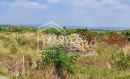 Tanah Dijual Area Strategis di Kendal Kendal 150000m2 Tanah Dijual Area Strategis di Kendal Kendal 150000m2