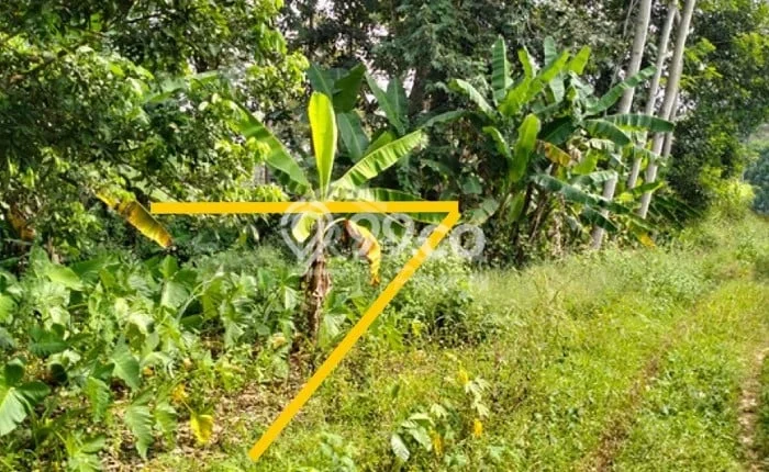 Kavling Tanah Dijual di Ngaliyan Semarang Spesifikasi 110m2 Kavling Tanah Dijual di Ngaliyan Semarang Spesifikasi 110m2