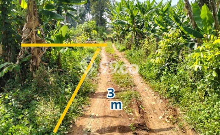 Kavling Tanah Dijual di Ngaliyan Semarang Spesifikasi 110m2 Kavling Tanah Dijual di Ngaliyan Semarang Spesifikasi 110m2
