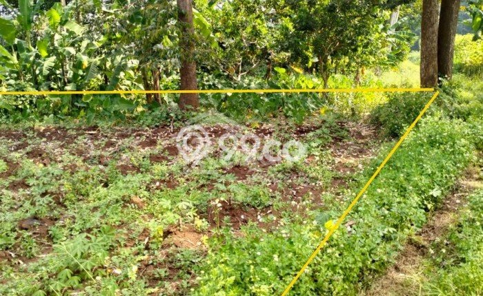 Kavling Tanah Dijual di Ngaliyan Semarang Spesifikasi 110m2 Kavling Tanah Dijual di Ngaliyan Semarang Spesifikasi 110m2