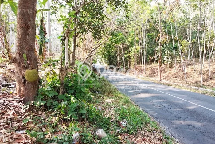 Dijual Tanah di Tegalrejo, Luas 1125m², Dekat Fasilitas Umum Dijual Tanah di Tegalrejo, Luas 1125m², Dekat Fasilitas Umum