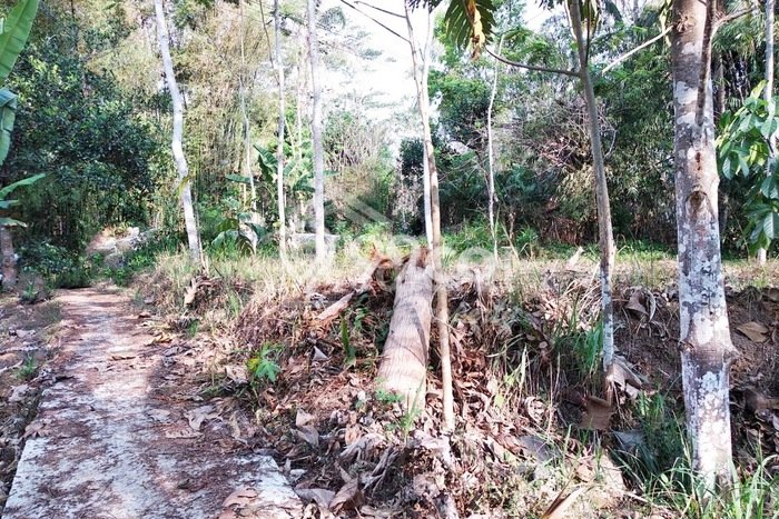 Dijual Tanah di Tegalrejo, Luas 1125m², Dekat Fasilitas Umum Dijual Tanah di Tegalrejo, Luas 1125m², Dekat Fasilitas Umum