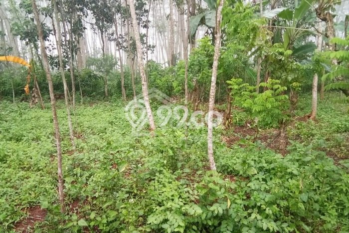 LOKASI STRATEGIS! Tanah Kawasan Warungasem, Luas 141m², Lokasi Potensial, Cocok untuk Investasi LOKASI STRATEGIS! Tanah Kawasan Warungasem, Luas 141m², Lokasi Potensial, Cocok untuk Investasi