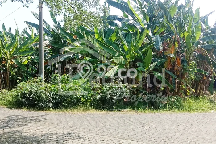 Kavling Tanah untuk Dijual di Puri Anjasmoro, Semarang, Luas 670m2 Kavling Tanah untuk Dijual di Puri Anjasmoro, Semarang, Luas 670m2