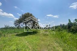 Tanah Strategis Dijual di Balapulang Tegal 150000m2 Tanah Strategis Dijual di Balapulang Tegal 150000m2