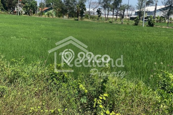 Lahan Kosong Dijual di Tegal dengan Area 13190m2 Lahan Kosong Dijual di Tegal dengan Area 13190m2