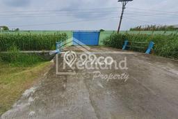 Disewakan Tanah Seluas 25000m2 di Karangawen, Demak Disewakan Tanah Seluas 25000m2 di Karangawen, Demak