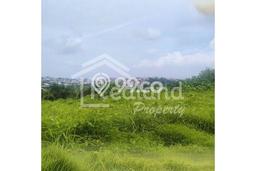 Kavling Tanah Dijual di Gajah Mungkur Semarang Spesifikasi 1012m2 Kavling Tanah Dijual di Gajah Mungkur Semarang Spesifikasi 1012m2