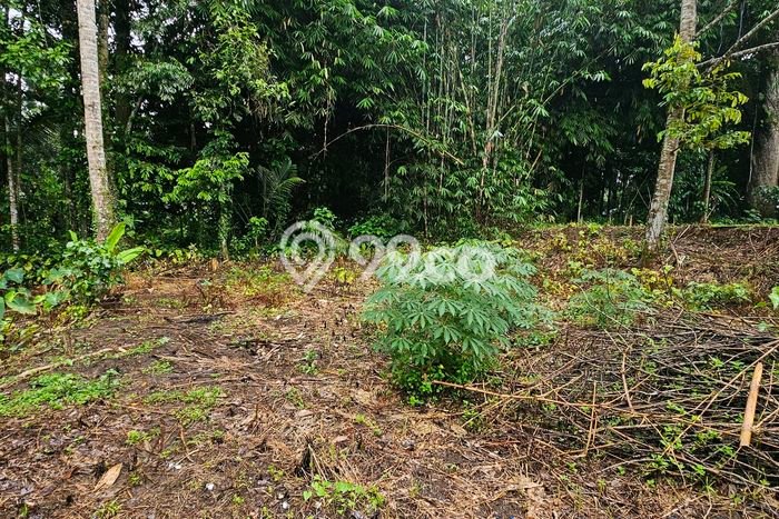 Tanah Dijual Lokasi Payangan Gianyar SHM Tanah Dijual Lokasi Payangan Gianyar SHM