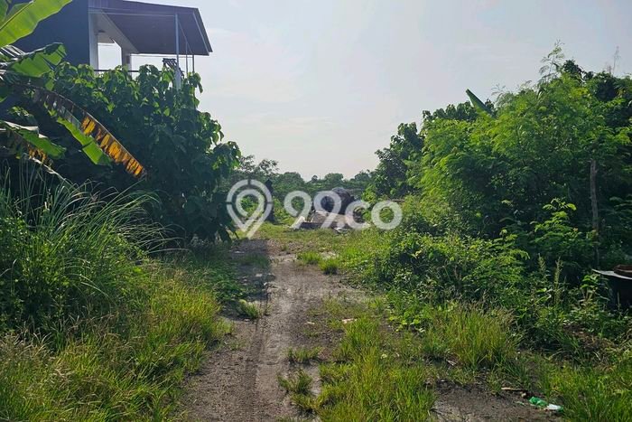Tanah Investasi Dijual di Gianyar Punya Luas 500m2 Tanah Investasi Dijual di Gianyar Punya Luas 500m2