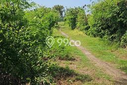 Untuk Dijual Tanah di Gianyar, Luas 1460m2 SHM Untuk Dijual Tanah di Gianyar, Luas 1460m2 SHM