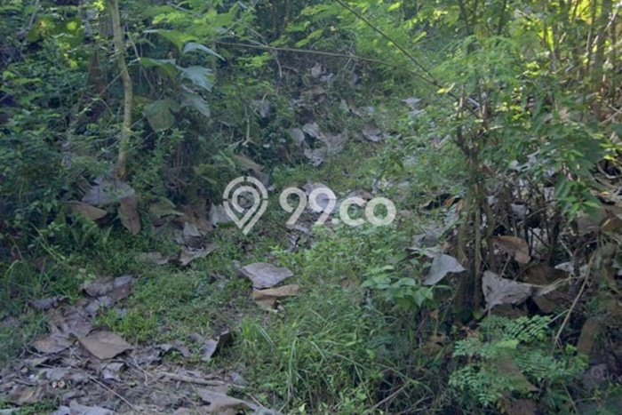 Lahan Kosong Dijual di Jembrana dengan Area 42m2 Lahan Kosong Dijual di Jembrana dengan Area 42m2