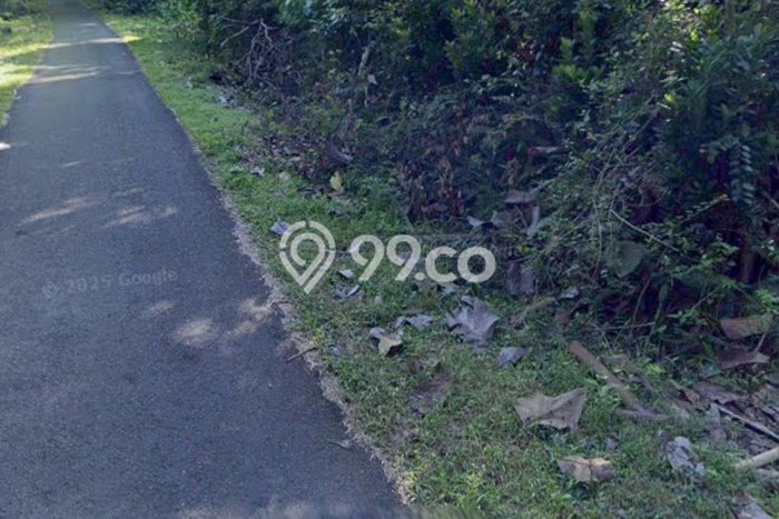 Lahan Kosong Dijual di Jembrana dengan Area 42m2 Lahan Kosong Dijual di Jembrana dengan Area 42m2