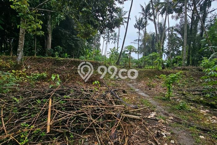 Tanah Dijual Lokasi Payangan Gianyar SHM Tanah Dijual Lokasi Payangan Gianyar SHM