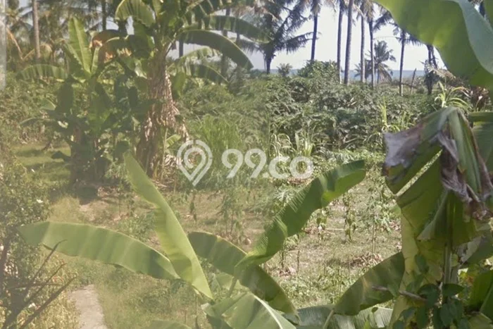 Tanah Komersial Kawasan Saba, Luas 25m², For Rent, Akses ke Saba, Gianyar, Gianyar Tanah Komersial Kawasan Saba, Luas 25m², For Rent, Akses ke Saba, Gianyar, Gianyar
