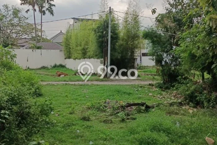 Tanah untuk Dijual Lokasi Mengwi, Badung Luas 185m2 SHM Tanah untuk Dijual Lokasi Mengwi, Badung Luas 185m2 SHM