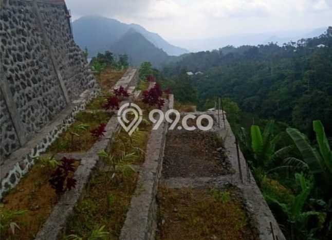 Lahan Dijual Lokasi Sukasada, Buleleng dengan Luas Tanah 65000m2 dan Status SHM Lahan Dijual Lokasi Sukasada, Buleleng dengan Luas Tanah 65000m2 dan Status SHM