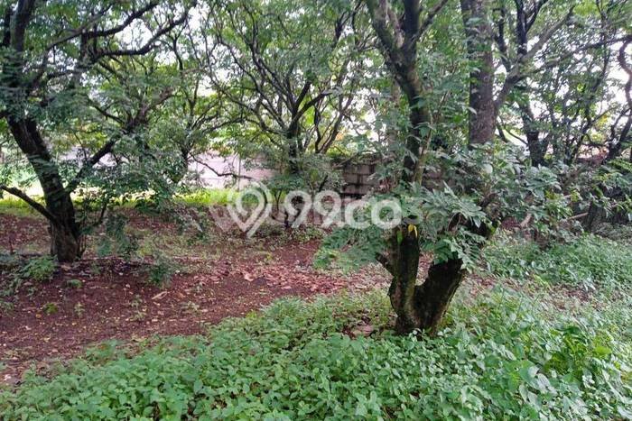 Dijual Tanah di Pancoran Mas Depok Luas 1500m2 SHM Dijual Tanah di Pancoran Mas Depok Luas 1500m2 SHM