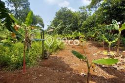 Tanah Dijual Area Strategis di Cilangkap Depok 1834m2 Tanah Dijual Area Strategis di Cilangkap Depok 1834m2