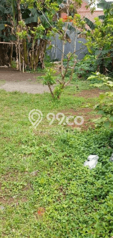 Untuk Dijual Tanah di Pancoran Mas Depok Luas 378m2 SHM Untuk Dijual Tanah di Pancoran Mas Depok Luas 378m2 SHM