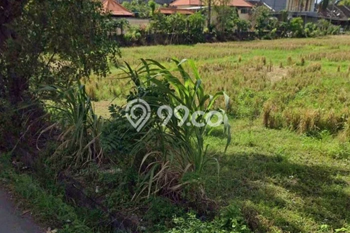 Tanah Kavling untuk Disewa di Denpasar Barat Denpasar 30900m2 Tanah Kavling untuk Disewa di Denpasar Barat Denpasar 30900m2