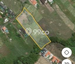 Tanah Investasi Dijual di Badung Punya Luas 5000m2 Tanah Investasi Dijual di Badung Punya Luas 5000m2